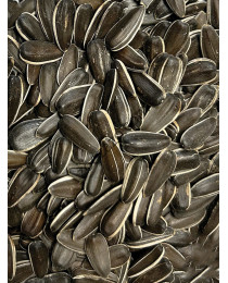 Слънчогледови семки за диви птици, 1,25 кг. - Large Striped Sunflower Seeds Maricatoma